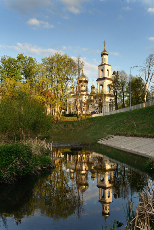 Отражение. - Константин Белоногов