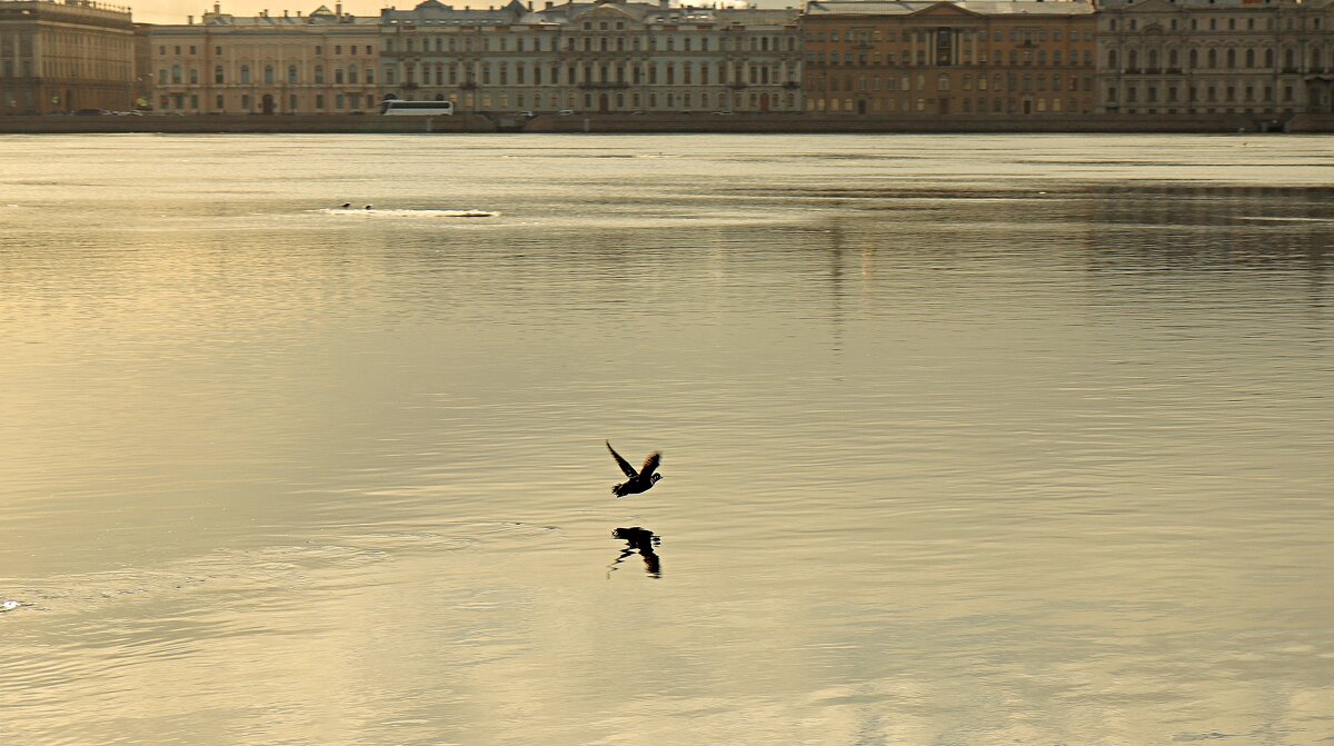 *** - веселов михаил 