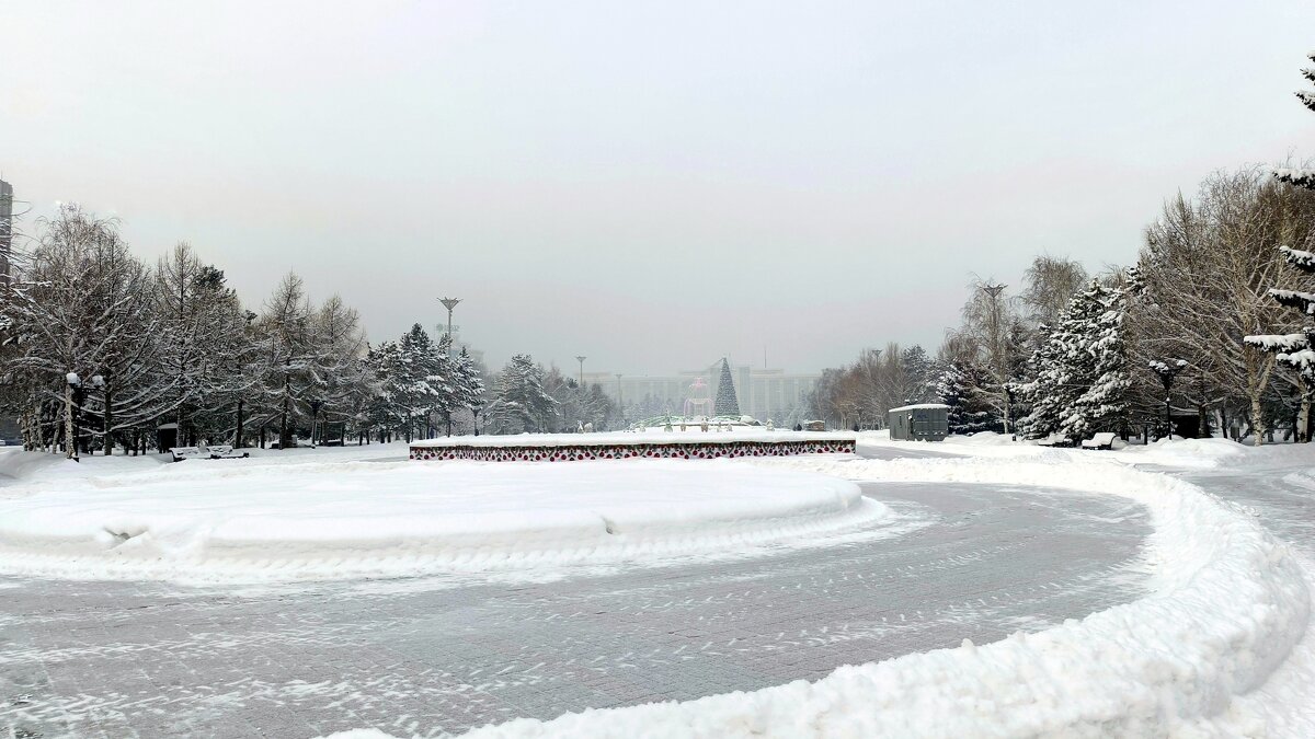 Туманное , снежное утро . - Мила Бовкун