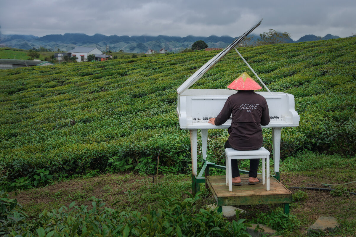 Концерт для фортепьяно с оркестром, или Про белый рояль в кустах - Дмитрий Шишкин Концерт для фортепьяно с оркестром, или Про белый рояль в кустах - Дмитрий Шишкин