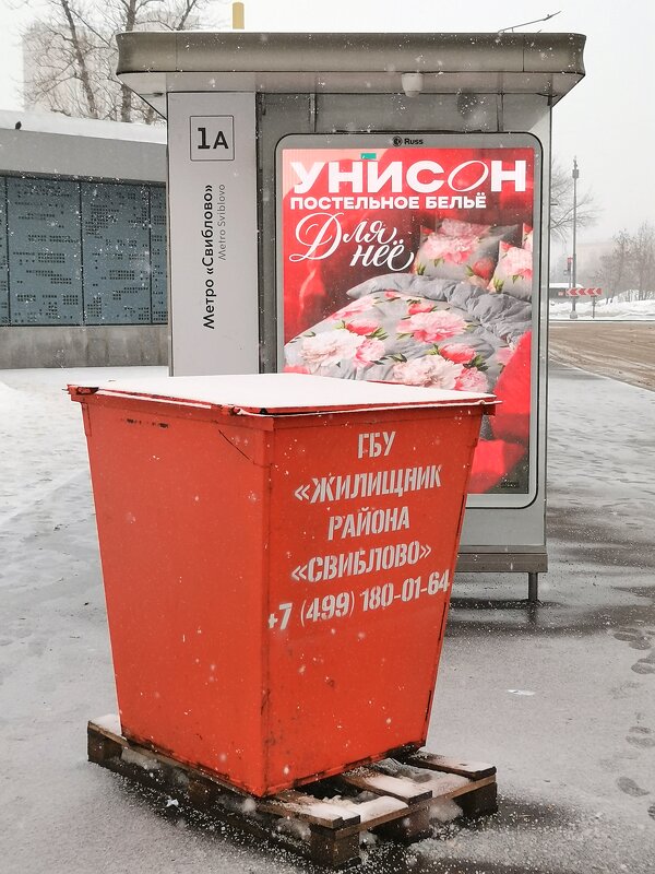 Вот такой он унисон. Уличная фотография. - Любимова Ольга 