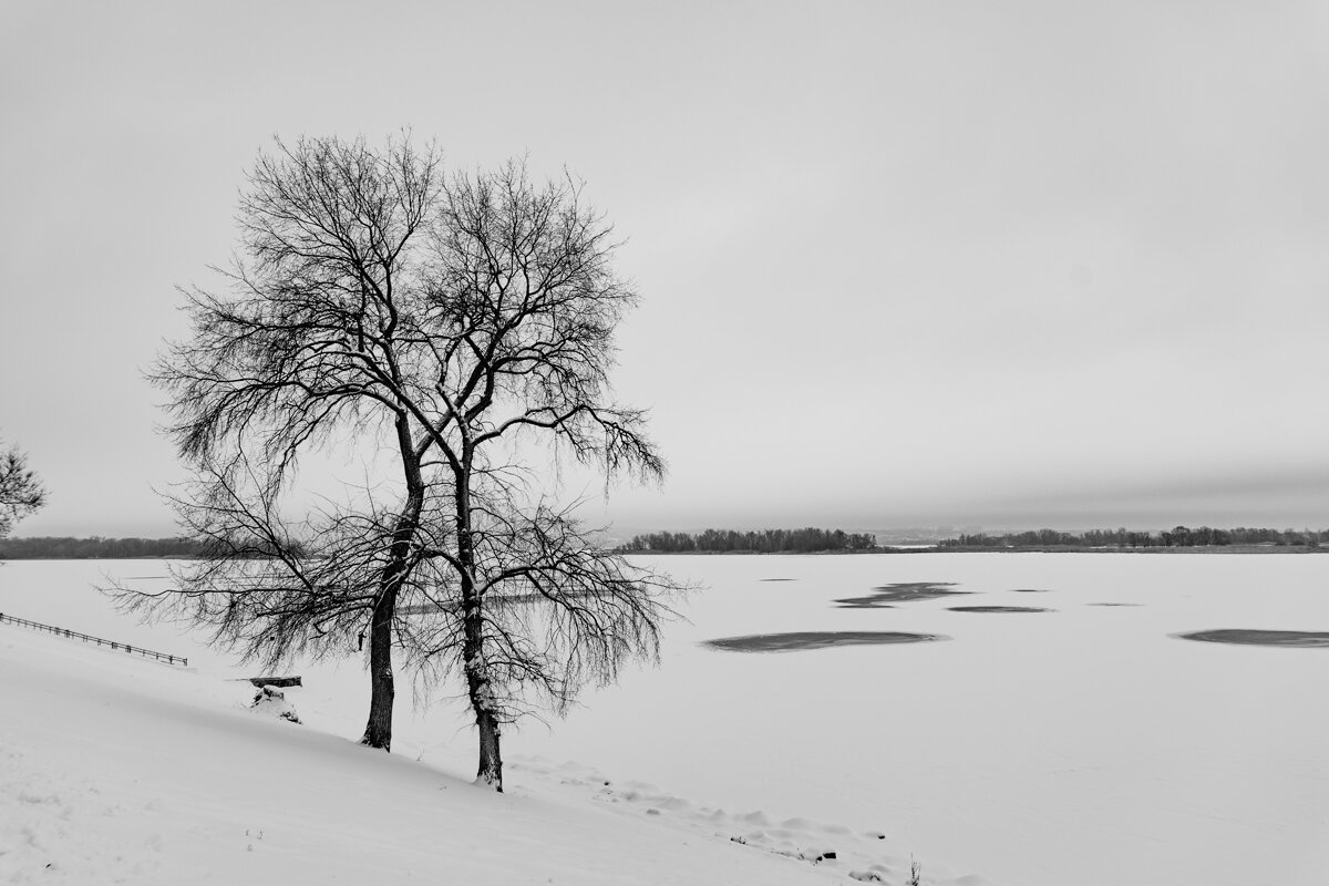 Зима. - Владимир А.Р. 