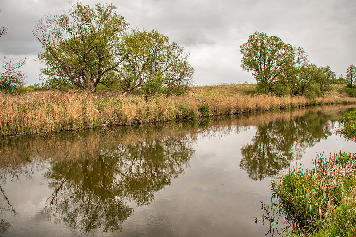 Река Анграпа - Владимир Самсонов