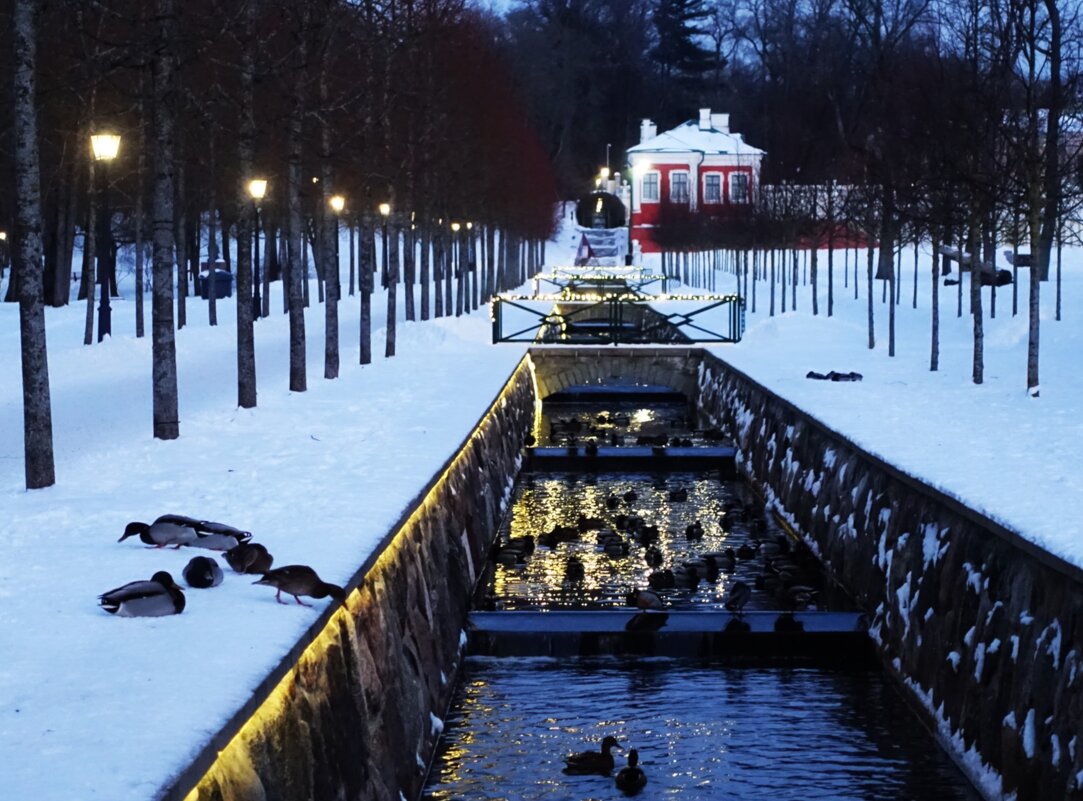 Вечерний обводный канал - Aida10 