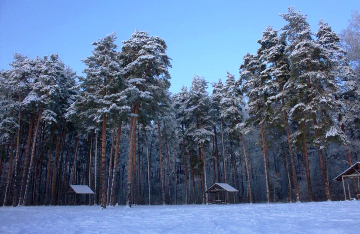 Подмосковье - Тамара Вебер