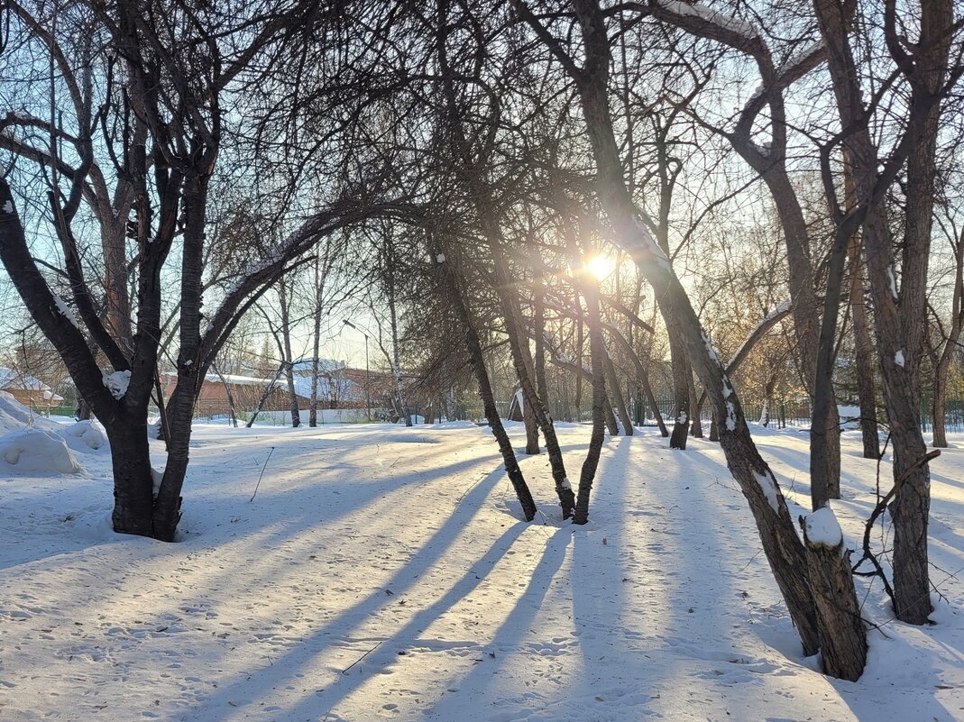 В городском сквере - Галина Нестратова