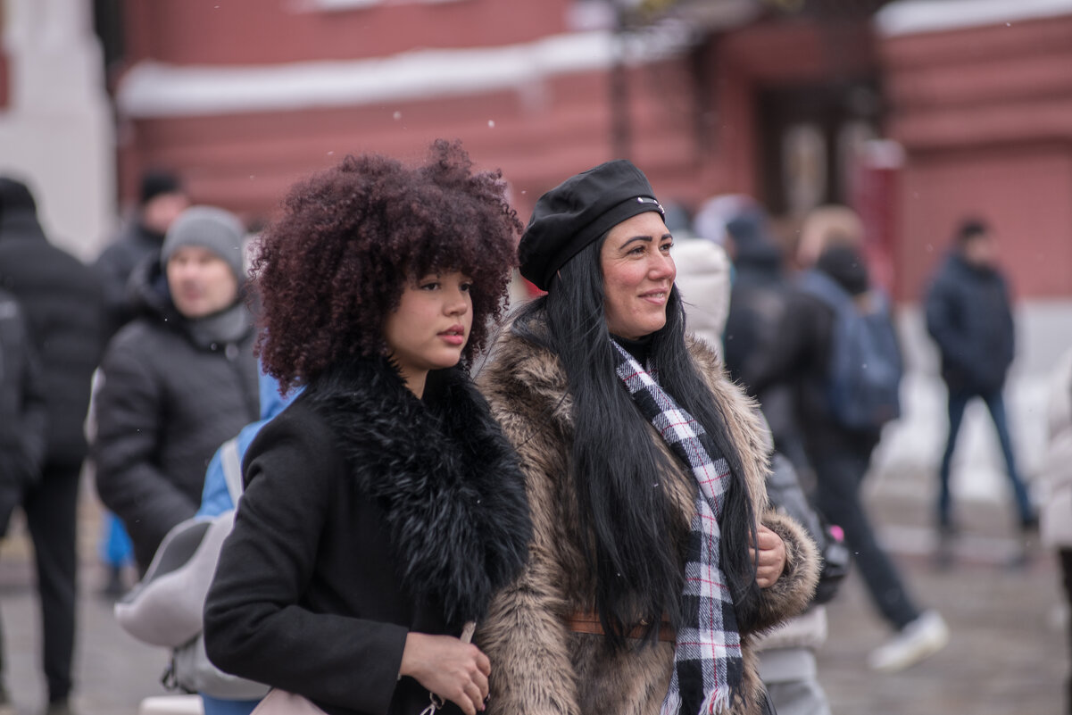 Кудряшка. - Николай 