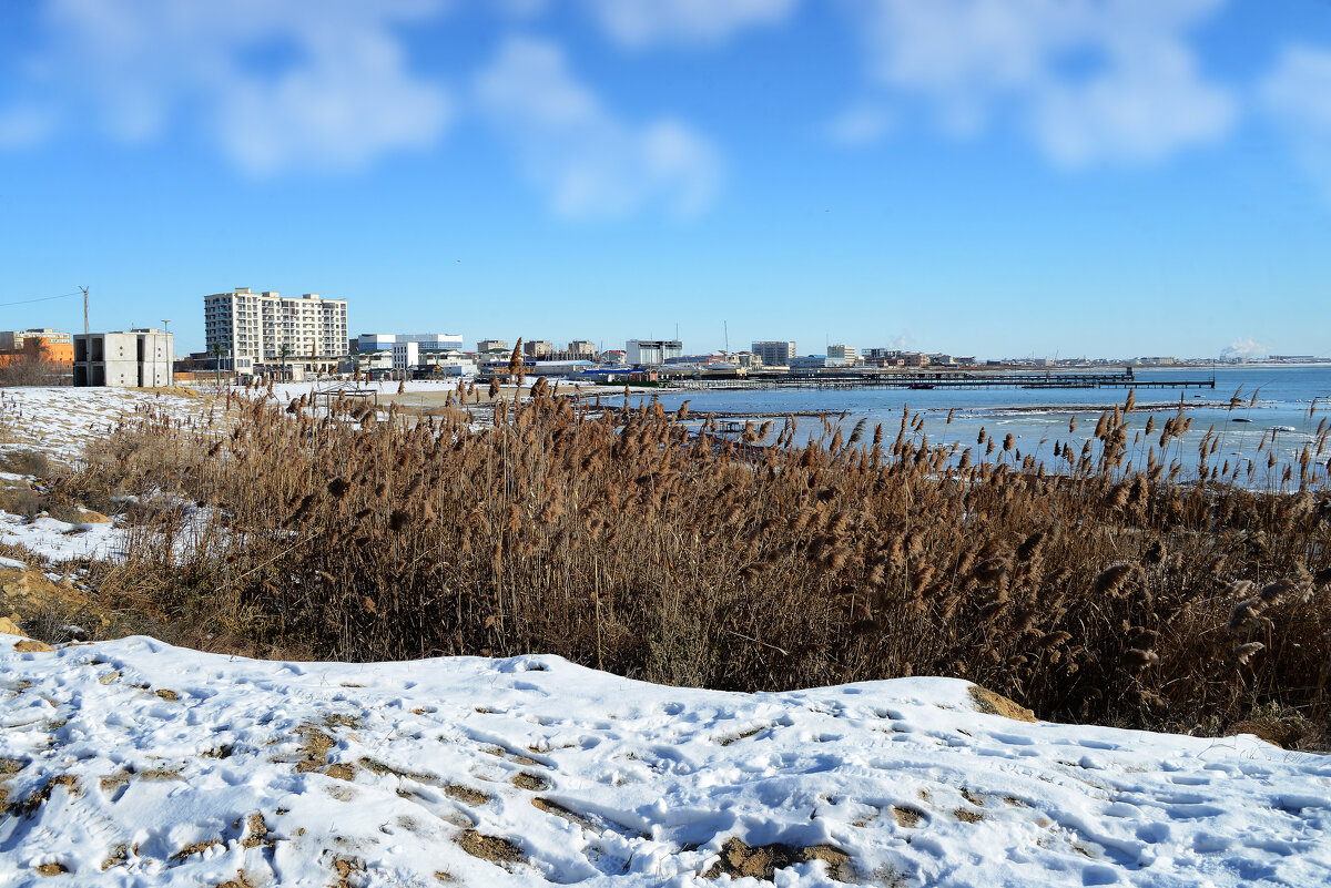 Берег Каспия - Анатолий Чикчирный