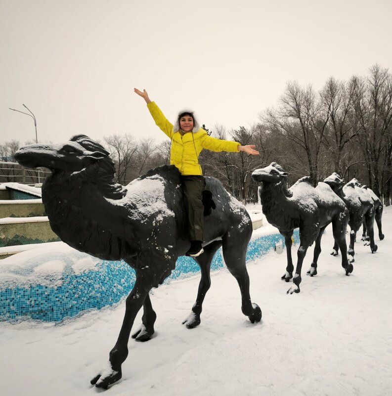 Жизнь верблюдов - Георгиевич 