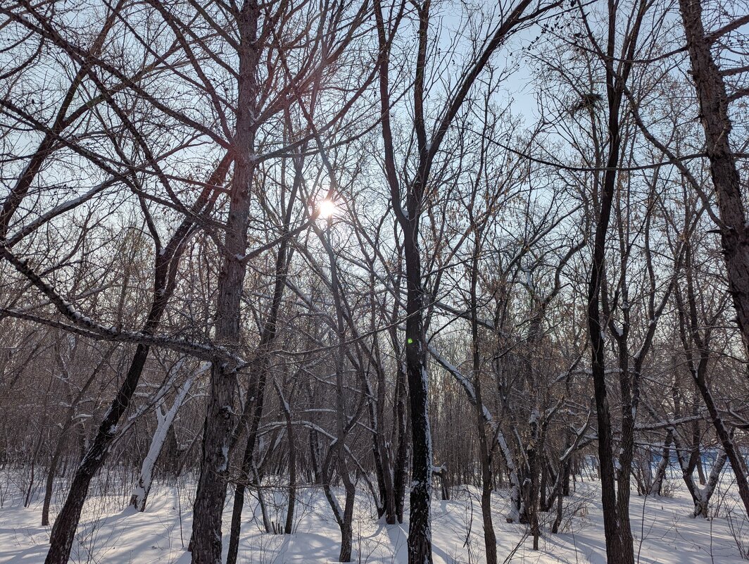 Утро,долгого дня. - Андрей Хлопонин