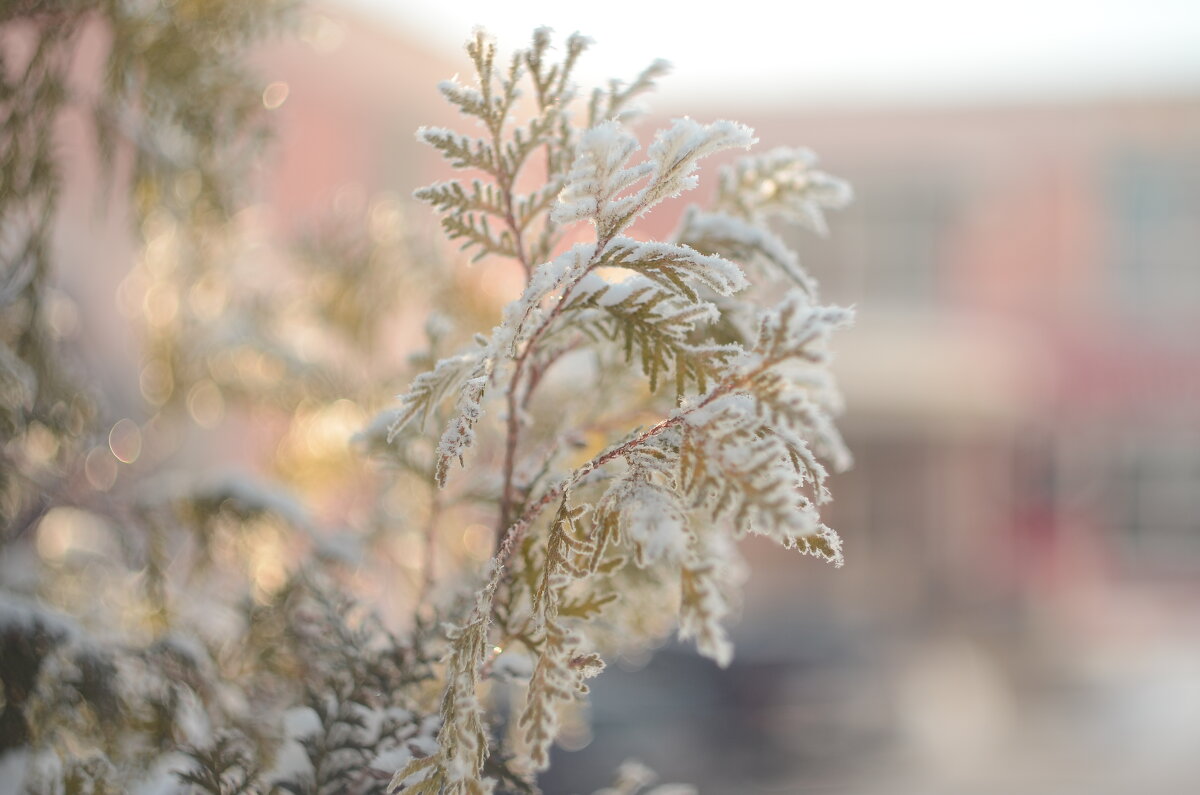 ...холодно.. - Георгий Никонов