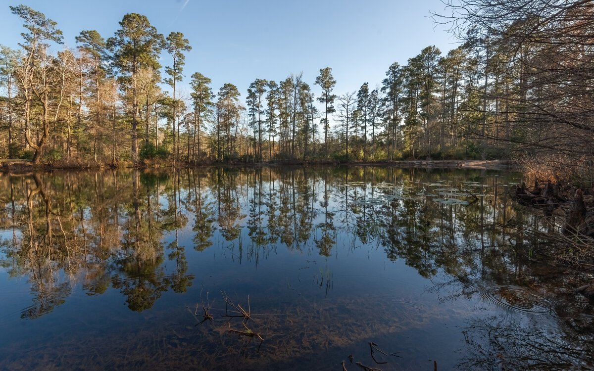 Озерцо - **** vedin
