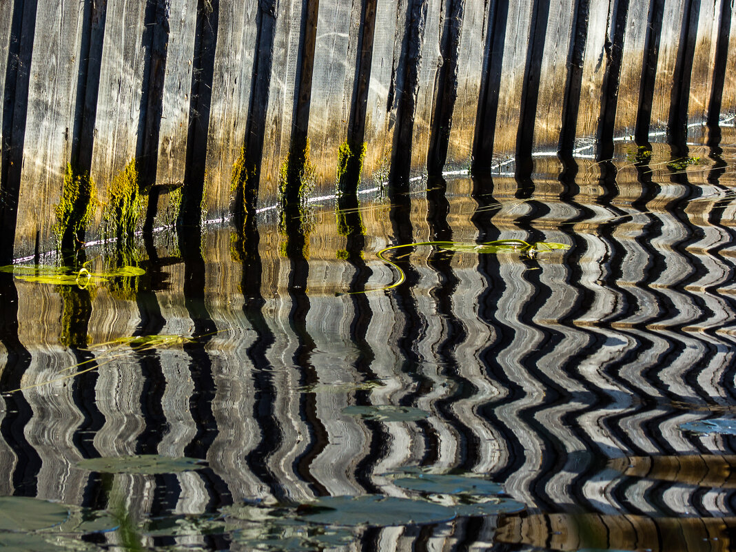 * - Сергей Полянский