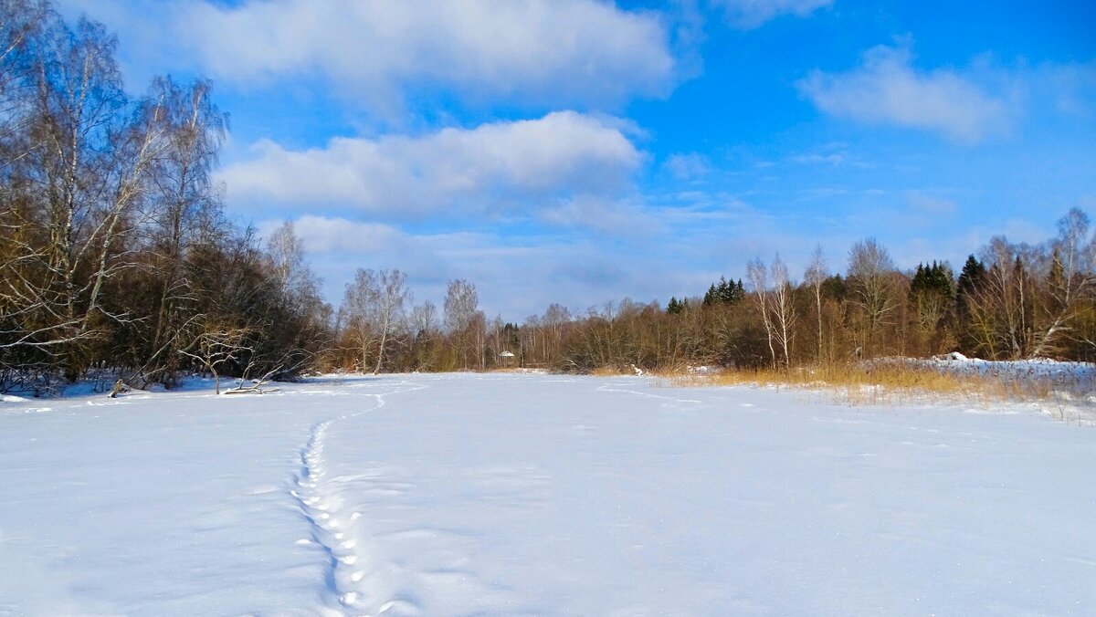 Зима в феврале. - Милешкин Владимир Алексеевич 