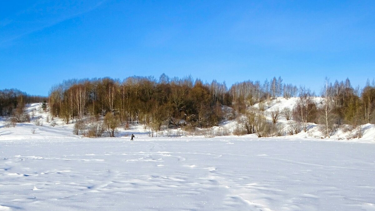 Зимний пейзаж - Милешкин Владимир Алексеевич 