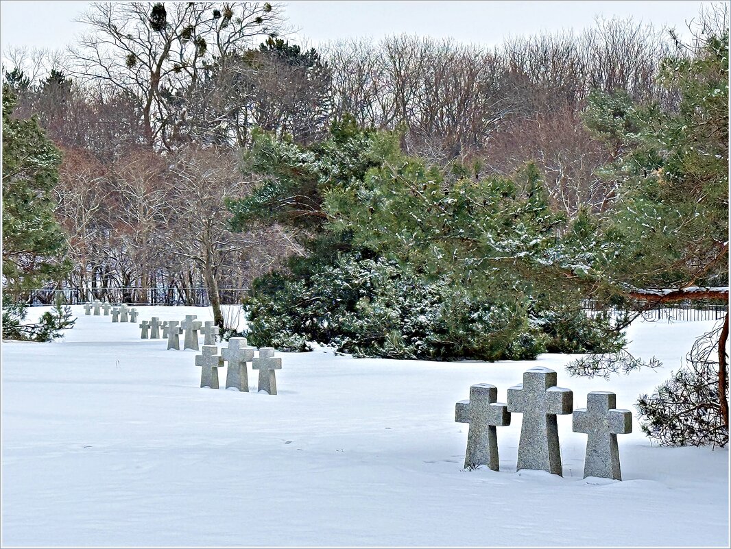 На Мемориальном кладбище. - Валерия Комова На Мемориальном кладбище. - Валерия Комова