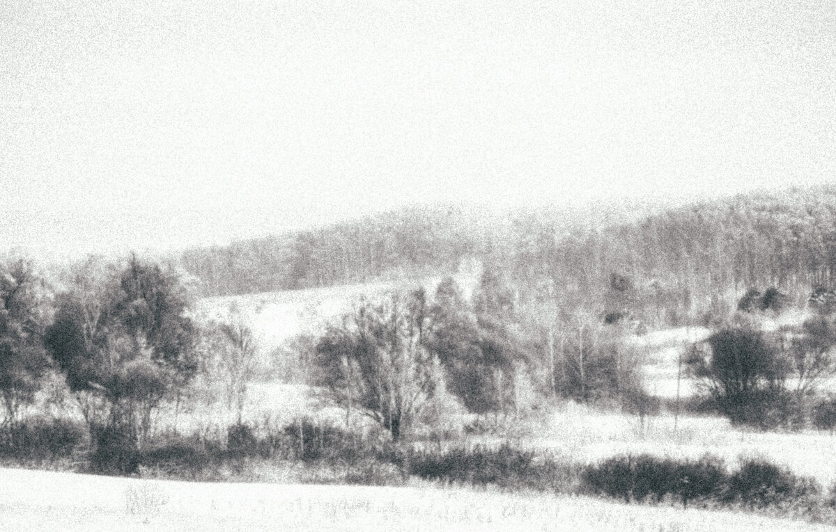 Брянская область - Sergei Vikulov Брянская область - Sergei Vikulov