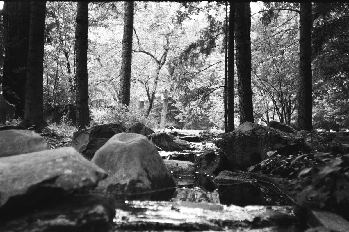 Ручей - Алексей Лапин