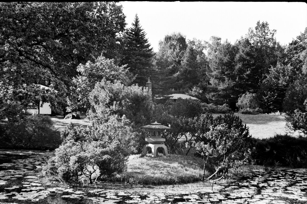 Японский сад - Алексей Лапин