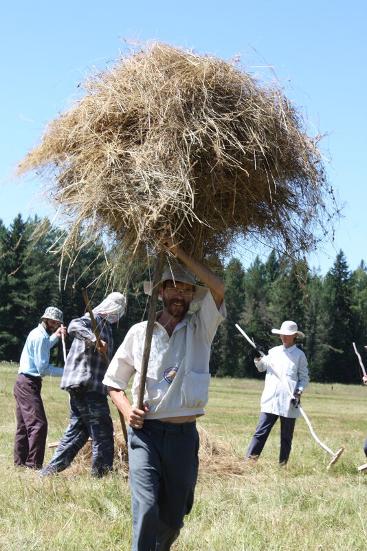 СЕНОКОС - Tata Wolf
