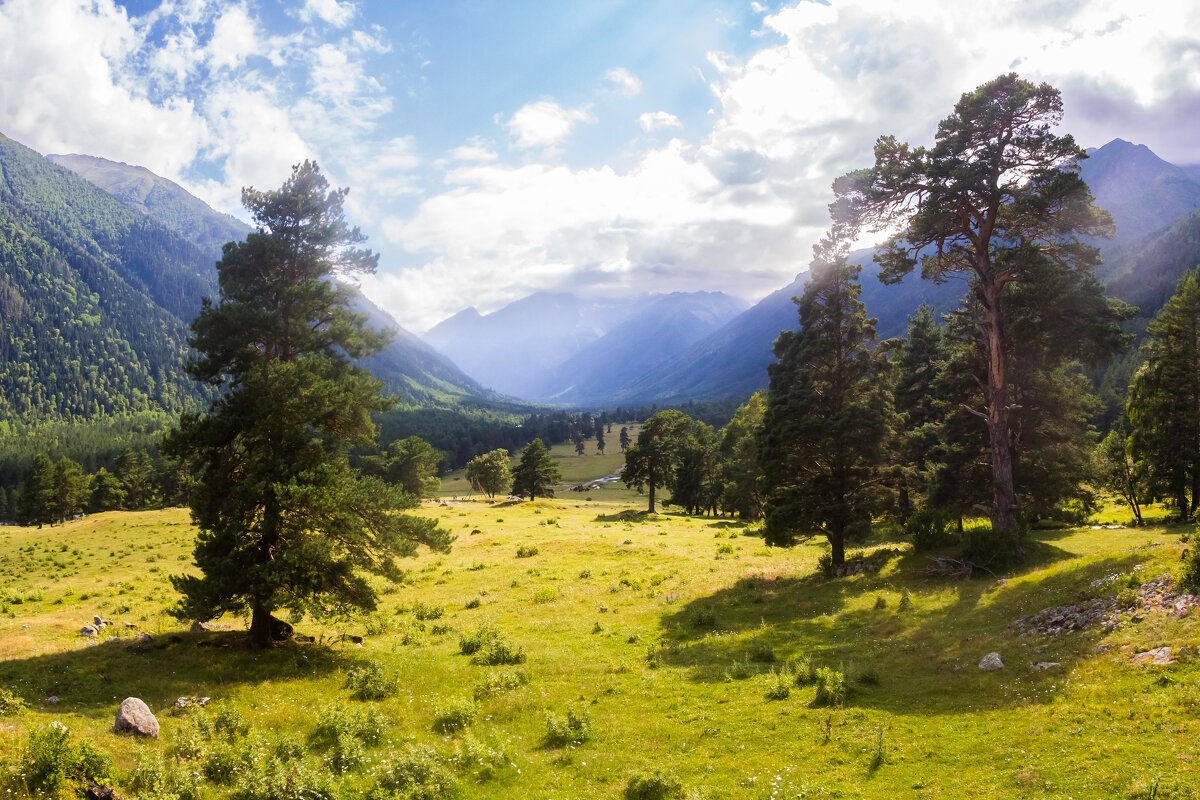 Рядом с рекой - Алексей 