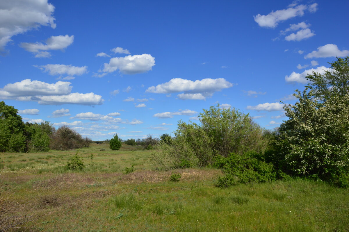 Весна. - Виктор 