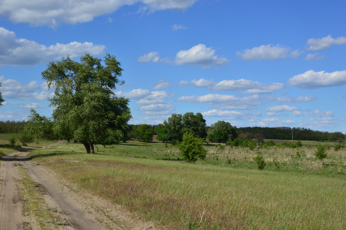 Мои дороги. - Виктор 