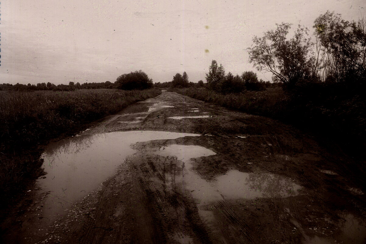 Фотография - Денис Безногов