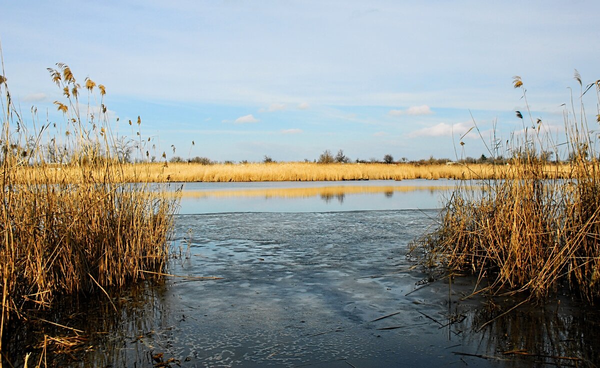 Февраль. - Владимир Февраль. - Владимир