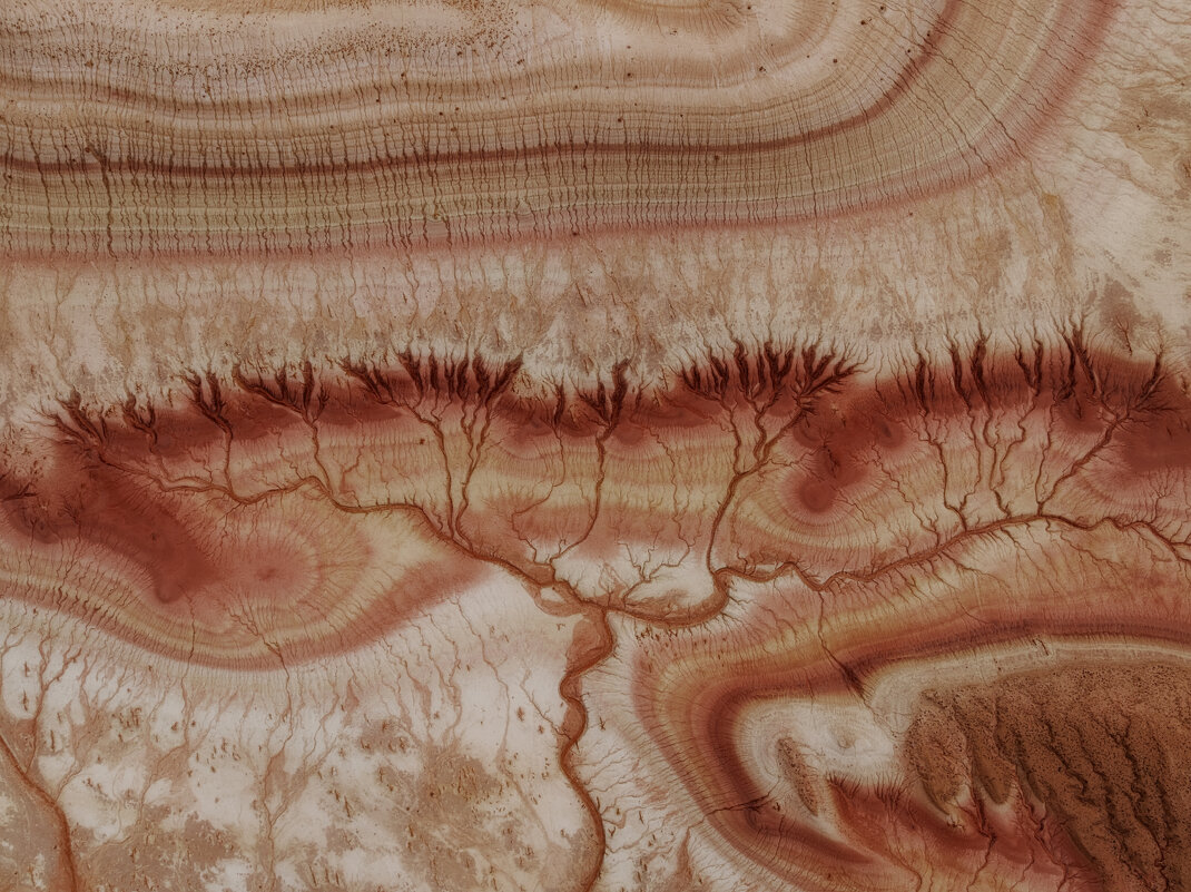 Древо жизни - Дмитрий Шишкин Древо жизни - Дмитрий Шишкин