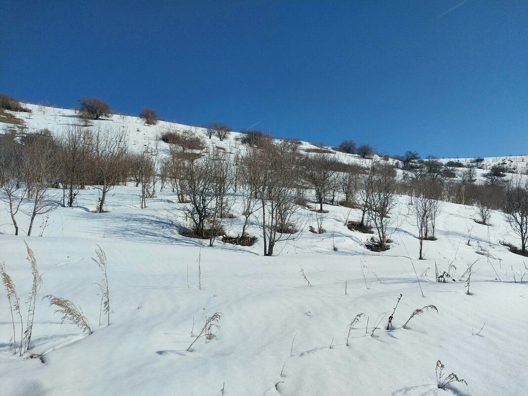 Ак Булак. Талгар - Murat Bukaev 