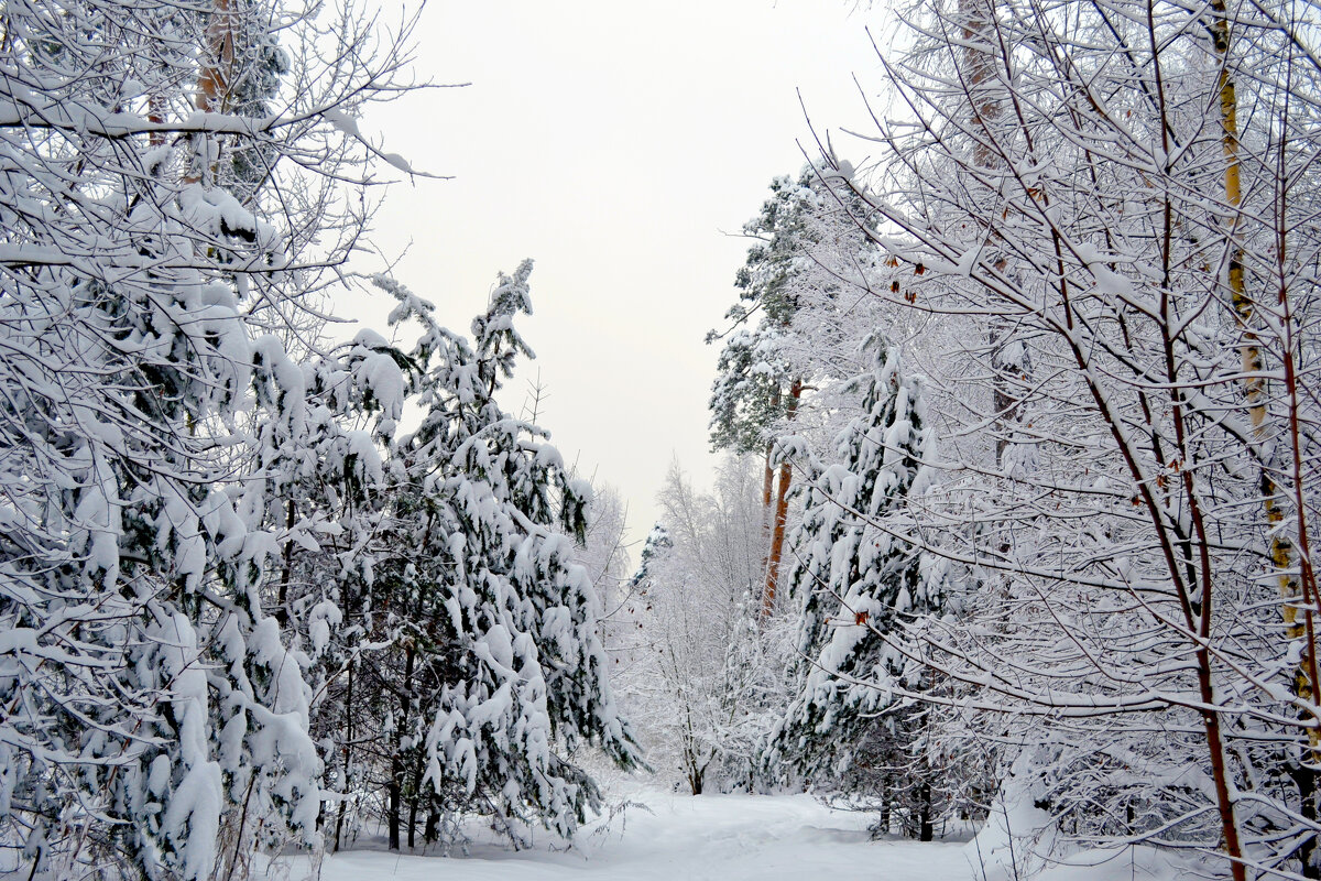 А секг все идет....... - Ольга А секг все идет....... - Ольга