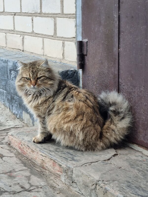 Терпеливое ожидание - Наталья 