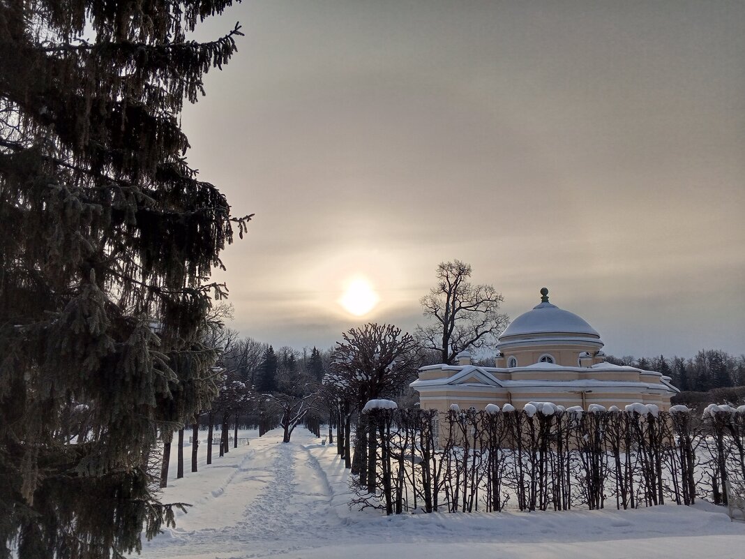 Зима - Сапсан 