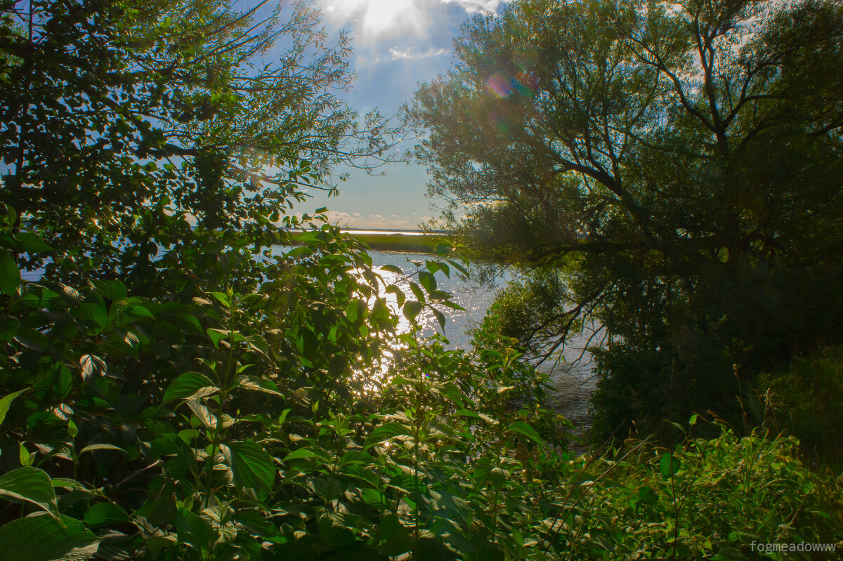 без названия - fogmeadowww m