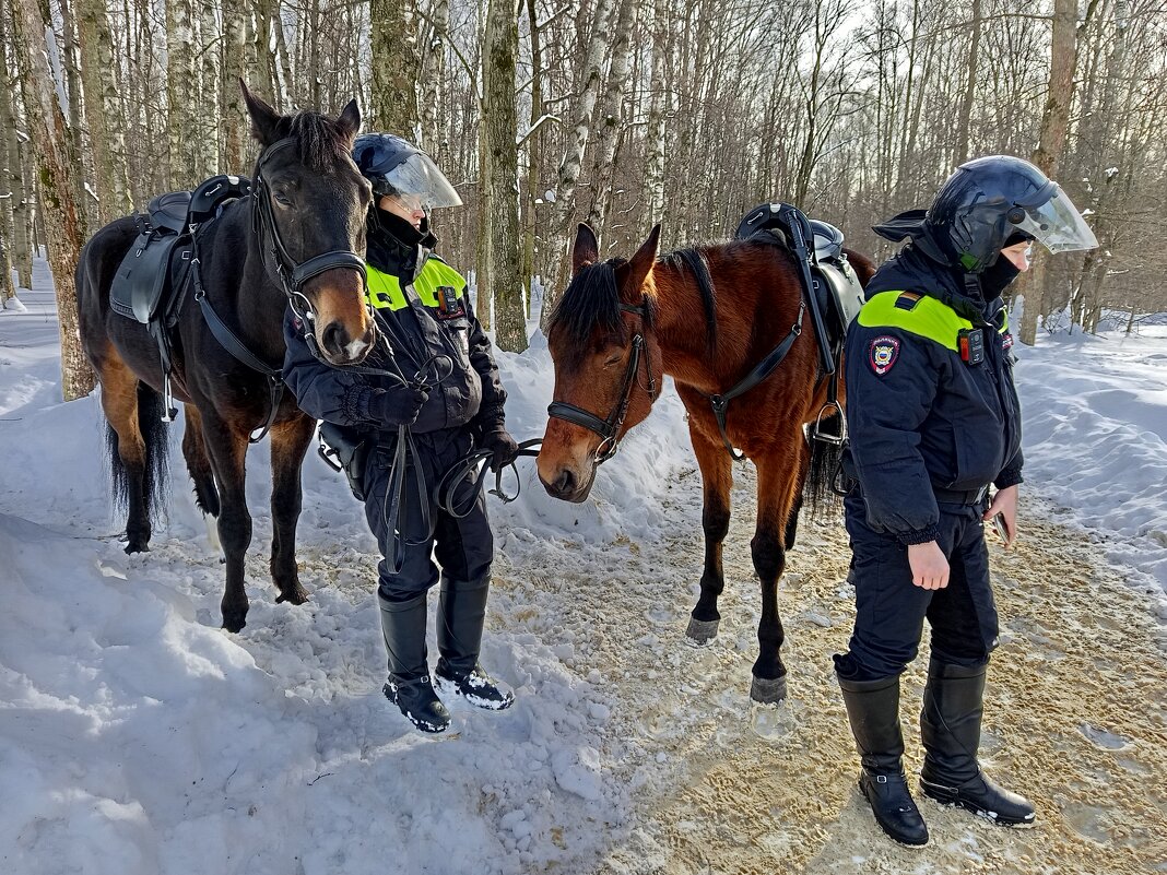 Моя полиция меня бережет :-) - Андрей Лукьянов Моя полиция меня бережет :-) - Андрей Лукьянов