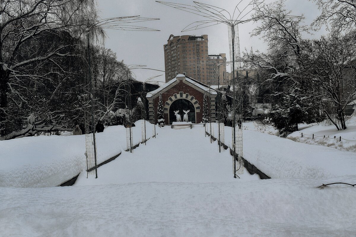 Вход в Аптекарский огород. - Татьяна Помогалова Вход в Аптекарский огород. - Татьяна Помогалова
