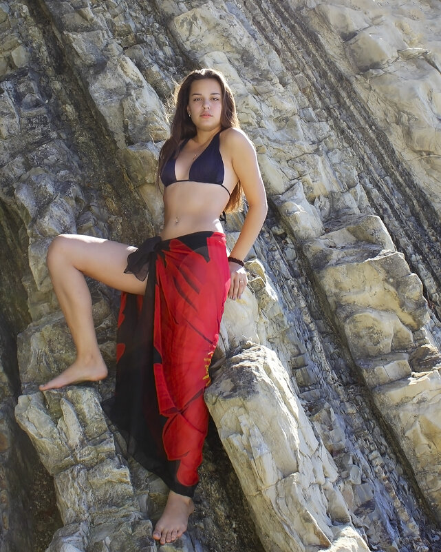 На скале - Леонид На скале - Леонид