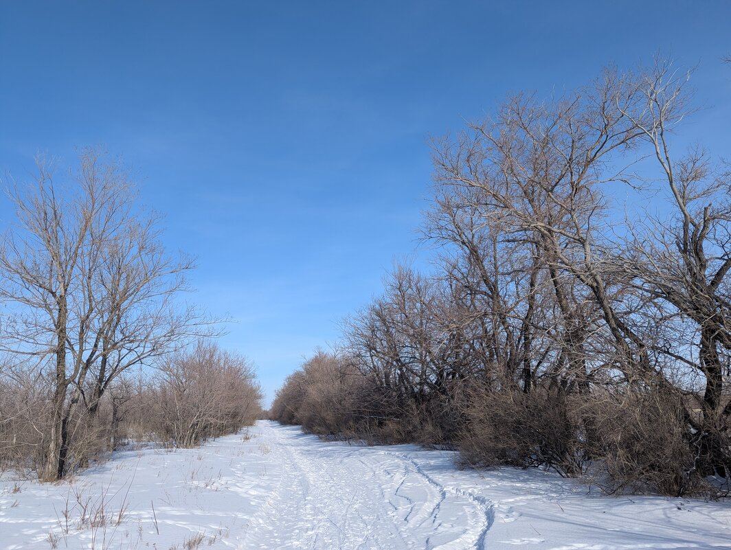Зимний путь - Андрей Хлопонин