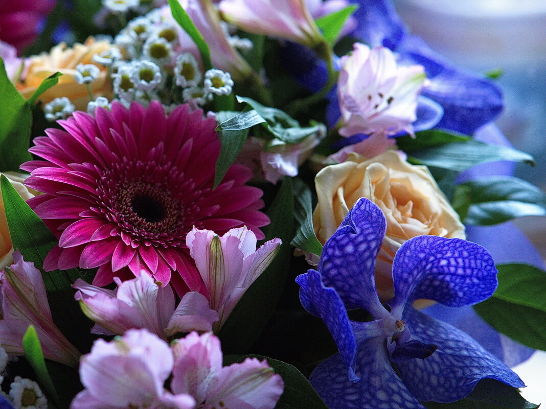 Цветочный этюд. - Марина Леонидовна