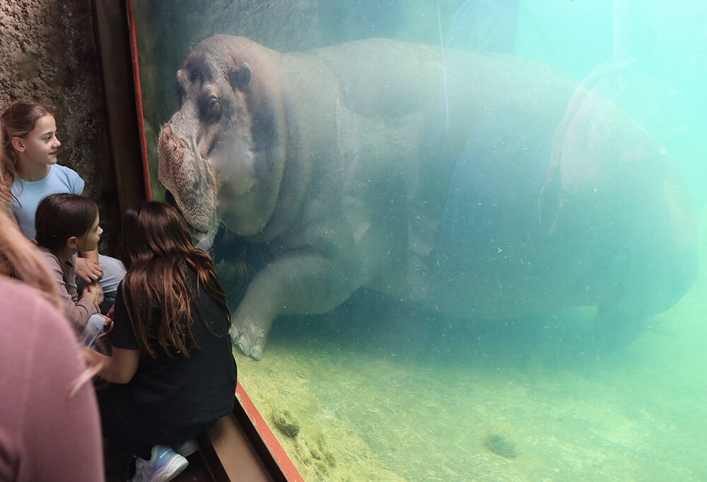 Обоюдный интерес - Галина Ильясова