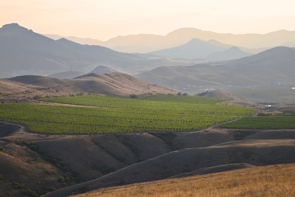 Виноградник меж гор - Геннадий Валеев