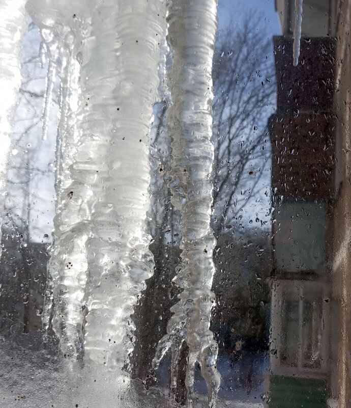 Сосульки февраля - Елена Семигина