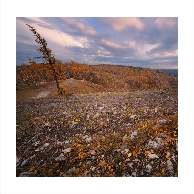 * - Александр Иванов