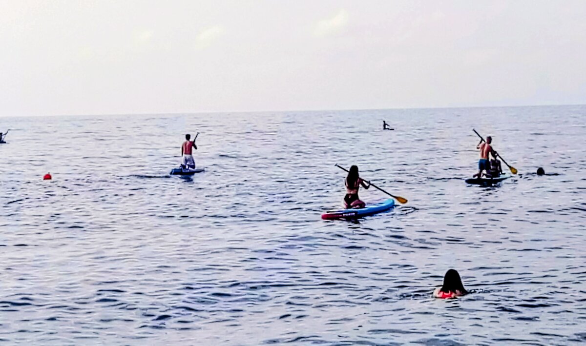 Адлер - Serega SchütZ