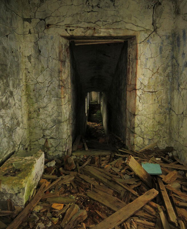 Портал в прошлое. - ИРЭН@ .