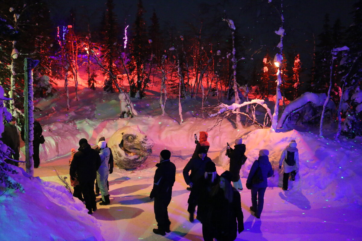 Ночь в Таинственном лесу - Ольга Ночь в Таинственном лесу - Ольга