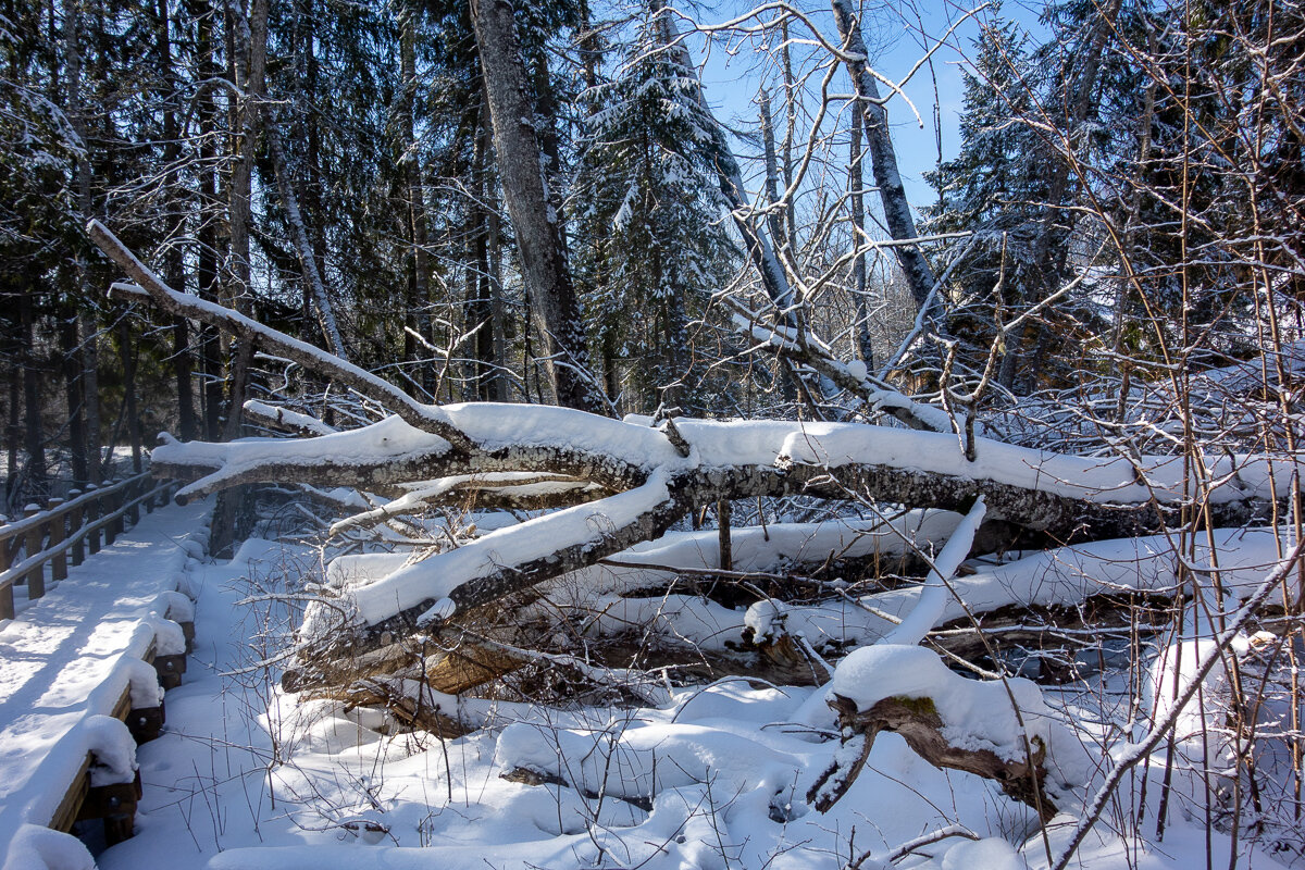 *** - Геннадий Порохов