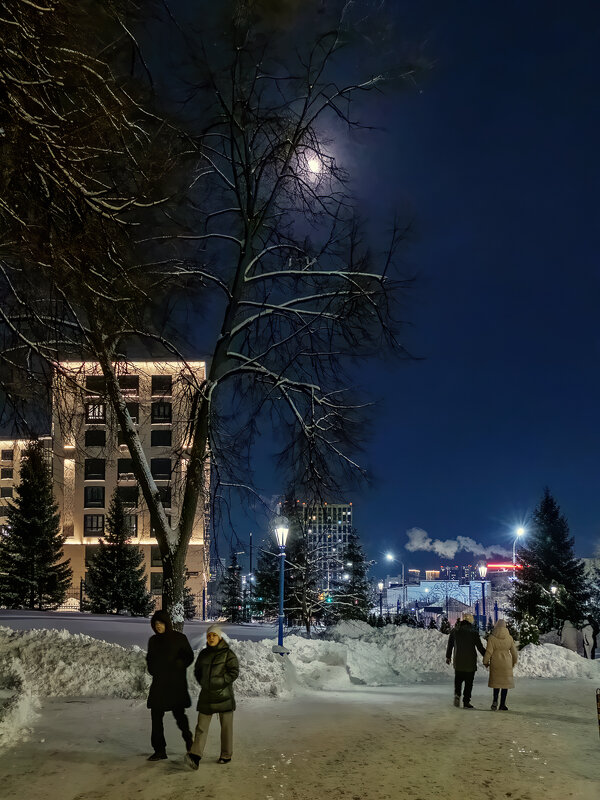 В лунную ночь... - Сергей Шатохин В лунную ночь... - Сергей Шатохин