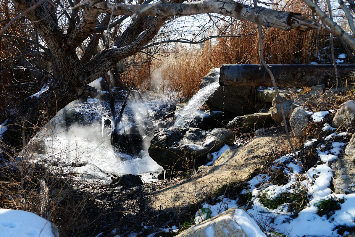 Источник - Анатолий Чикчирный